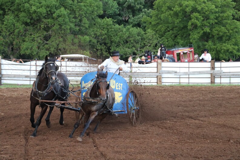 A racing chariot circles the arena at Pawnee Bill’s Original Wild West Show on June 13, 2026.